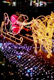 081130_2050~01.jpg