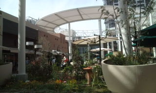 20110515150200.jpg